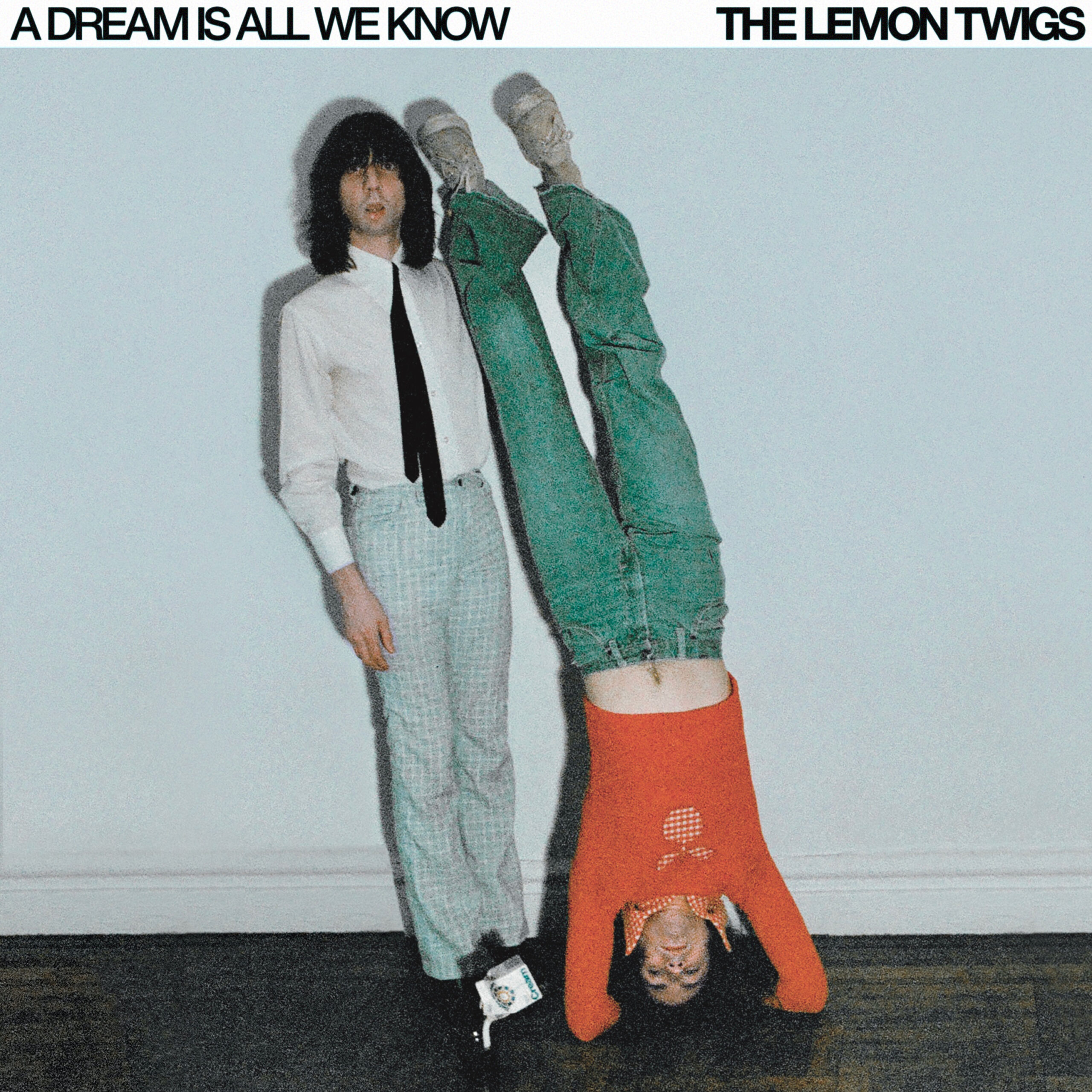 THE LEMON TWIGS – A DREAM IS ALL WE KNOW (CAPTURED TRACKS LP / CD)